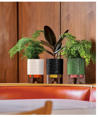 Orla Kiely Ceramic Plant Pot on Wooden Stand - 60's Stem Slate