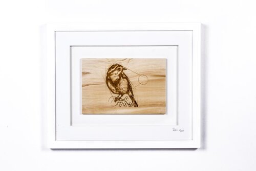 The Robin (An Spideóg) Framed