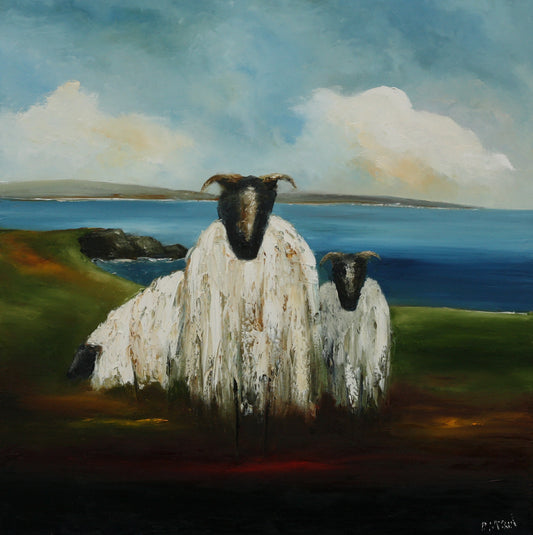 Padraig McCaul’s Wild Atlantic Sheep print